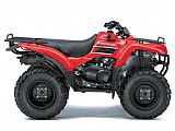 Красый (Sunbeam Red) - показана модель рынка США